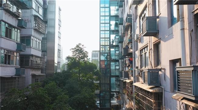 2024電梯行業(yè)新篇章：民族品牌加速趕超，LINVOL領(lǐng)沃引領(lǐng)新風(fēng)尚