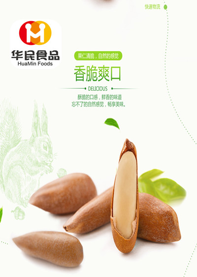 巴西松子